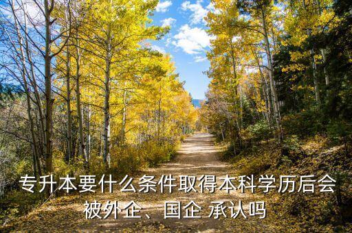  專升本要什么條件取得本科學(xué)歷后會被外企、國企 承認(rèn)嗎