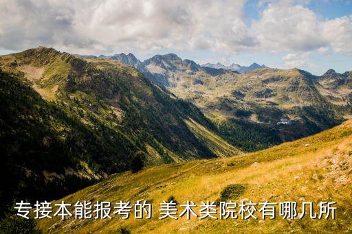 專接本能報(bào)考的 美術(shù)類院校有哪幾所