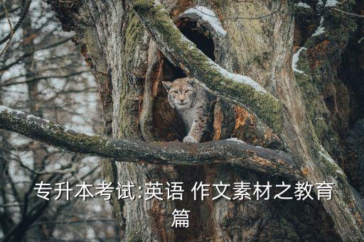  專升本考試:英語(yǔ) 作文素材之教育篇