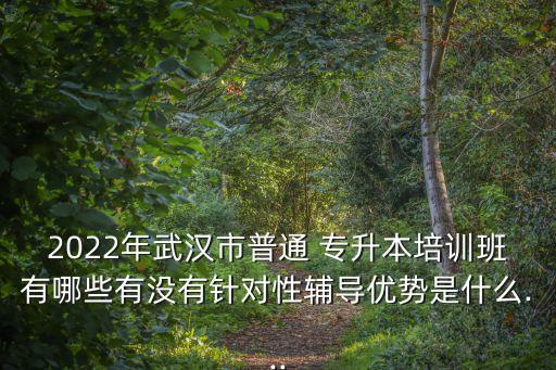 2022年武漢市普通 專(zhuān)升本培訓(xùn)班有哪些有沒(méi)有針對(duì)性輔導(dǎo)優(yōu)勢(shì)是什么...