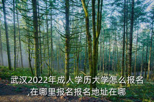 武漢2022年成人學(xué)歷大學(xué)怎么報名,在哪里報名報名地址在哪