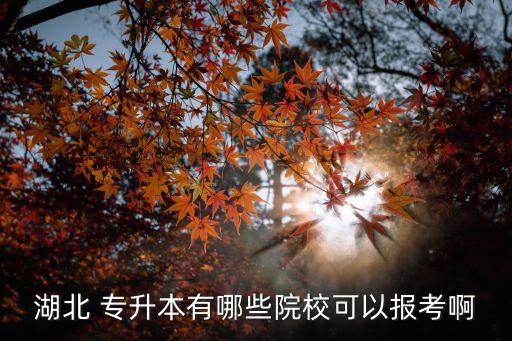 湖北 專升本有哪些院?？梢詧?bào)考啊