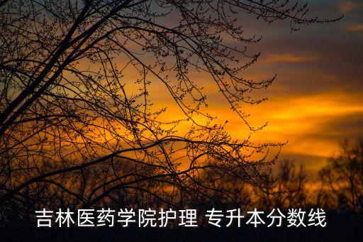 吉林醫(yī)藥學(xué)院護(hù)理 專(zhuān)升本分?jǐn)?shù)線(xiàn)