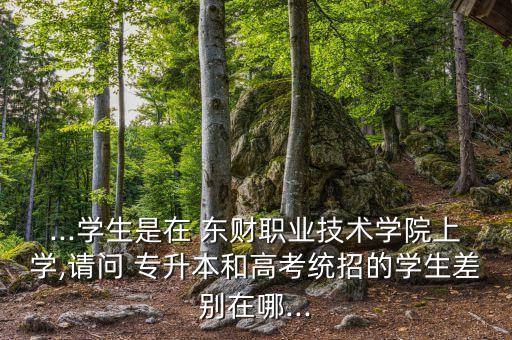 ...學(xué)生是在 東財(cái)職業(yè)技術(shù)學(xué)院上學(xué),請(qǐng)問(wèn) 專(zhuān)升本和高考統(tǒng)招的學(xué)生差別在哪...