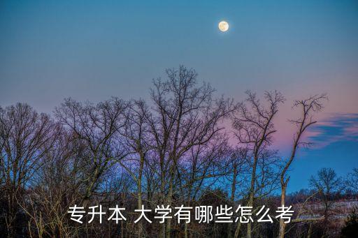  專升本 大學(xué)有哪些怎么考