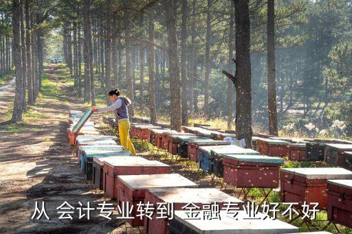 從 會(huì)計(jì)專業(yè)轉(zhuǎn)到 金融專業(yè)好不好