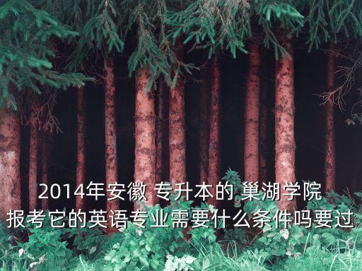 2014年安徽 專升本的 巢湖學院報考它的英語專業(yè)需要什么條件嗎要過...