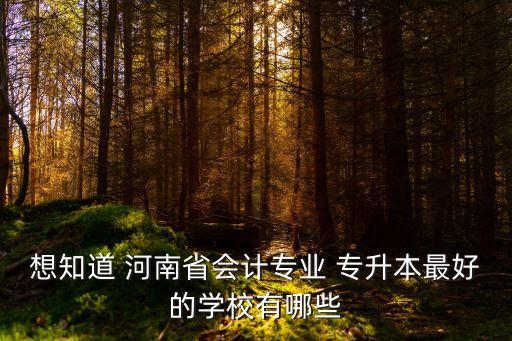 想知道 河南省會計專業(yè) 專升本最好的學校有哪些