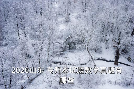 2020山東 專升本試題數(shù)學真題有哪些
