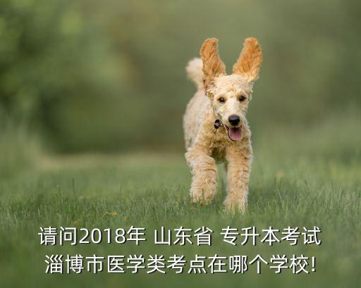 請(qǐng)問(wèn)2018年 山東省 專升本考試淄博市醫(yī)學(xué)類(lèi)考點(diǎn)在哪個(gè)學(xué)校!
