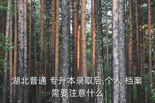 湖北普通 專升本錄取后,個(gè)人 檔案需要注意什么
