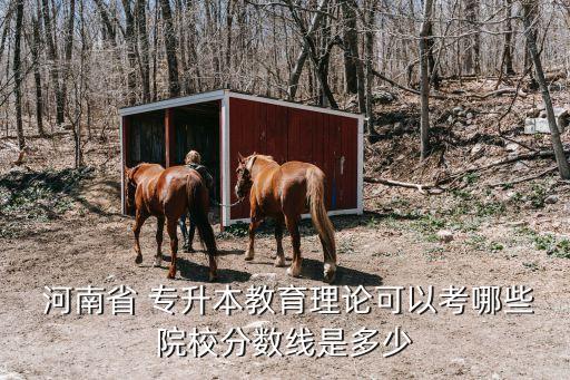  河南省 專升本教育理論可以考哪些院校分數(shù)線是多少