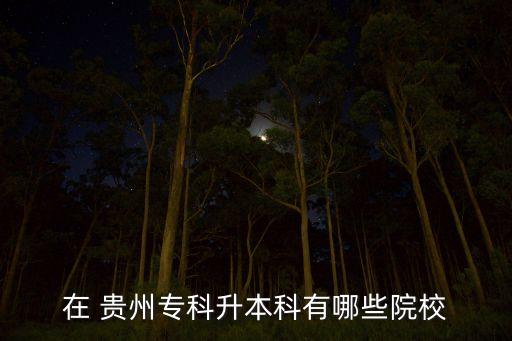 在 貴州?？粕究朴心男┰盒? class=