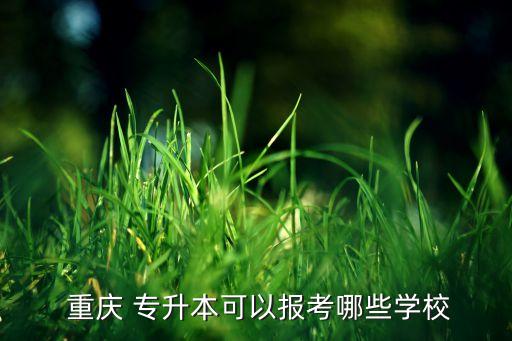 接收專升本的大學(xué)重慶,重慶專升本可以報考哪些大學(xué)