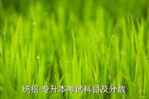 統(tǒng)招 專(zhuān)升本考試科目及分?jǐn)?shù)