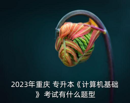 2023年重慶 專(zhuān)升本《計(jì)算機(jī)基礎(chǔ)》 考試有什么題型