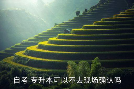 自考 專升本可以不去現(xiàn)場確認(rèn)嗎