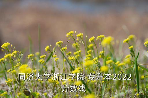  同濟(jì)大學(xué)浙江學(xué)院 專升本2022分?jǐn)?shù)線