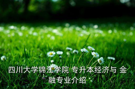 四川大學(xué)錦江學(xué)院 專升本經(jīng)濟(jì)與 金融專業(yè)介紹