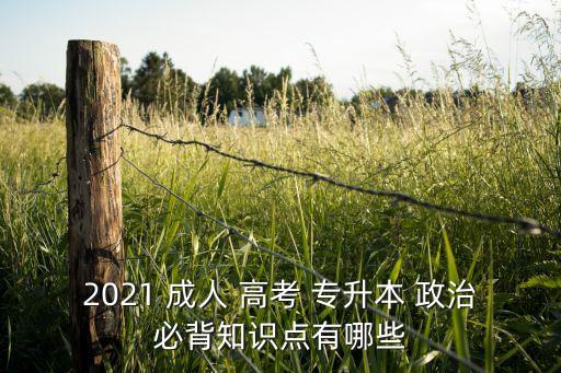 成人高考專(zhuān)升本試題政治,2022成人高考專(zhuān)升本政治答案