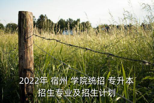 2022年 宿州 學(xué)院統(tǒng)招 專(zhuān)升本招生專(zhuān)業(yè)及招生計(jì)劃