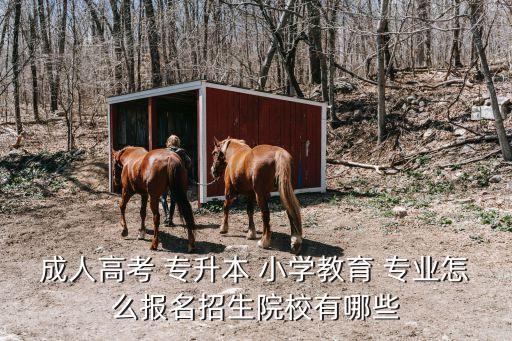 成人高考 專升本 小學(xué)教育 專業(yè)怎么報(bào)名招生院校有哪些