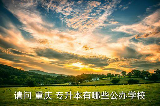 請問 重慶 專升本有哪些公辦學(xué)校