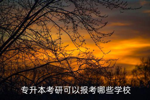  專(zhuān)升本考研可以報(bào)考哪些學(xué)校