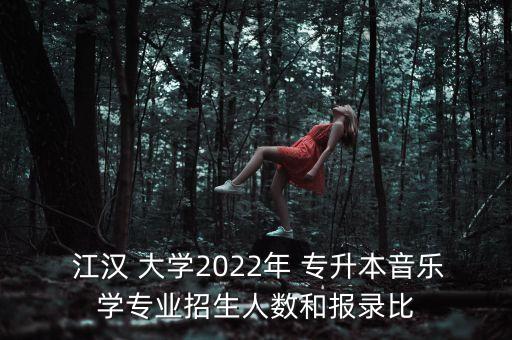 江漢大學(xué)舞蹈系專(zhuān)升本