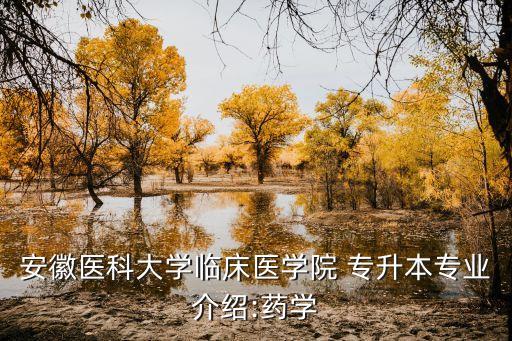 安徽醫(yī)科大學臨床醫(yī)學院 專升本專業(yè)介紹:藥學