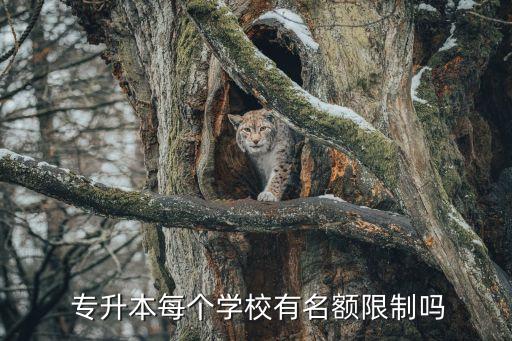  專(zhuān)升本每個(gè)學(xué)校有名額限制嗎