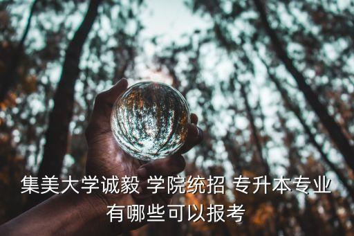 集美大學(xué)誠毅 學(xué)院統(tǒng)招 專升本專業(yè)有哪些可以報考