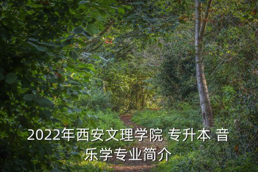 音樂(lè)類(lèi)專升本學(xué)校,湖北音樂(lè)類(lèi)專升本學(xué)校