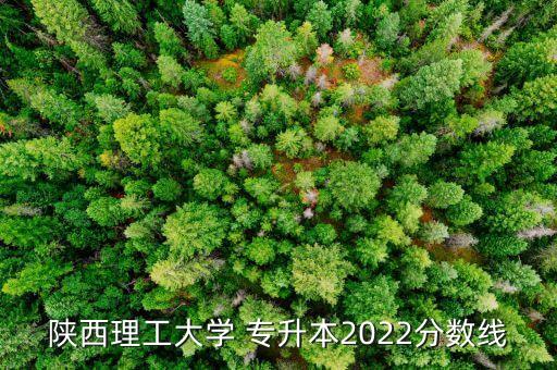 陜西理工大學 專升本2022分數(shù)線
