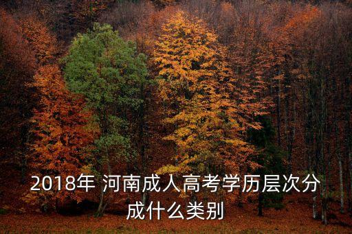 2018年 河南成人高考學歷層次分成什么類別