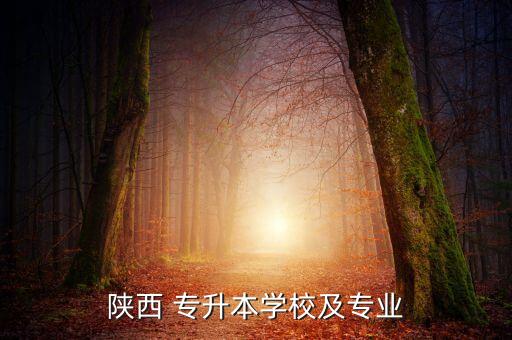 陜西 專升本學校及專業(yè)