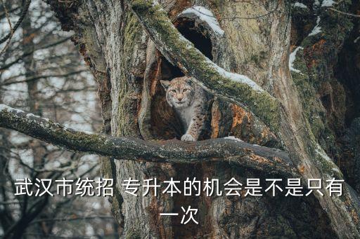 武漢市統(tǒng)招 專升本的機會是不是只有一次