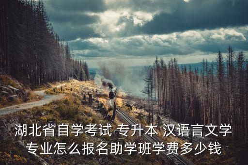 湖北省自學(xué)考試 專升本 漢語(yǔ)言文學(xué)專業(yè)怎么報(bào)名助學(xué)班學(xué)費(fèi)多少錢