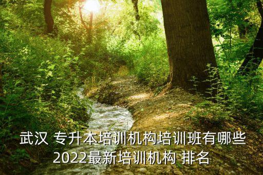  武漢 專升本培訓機構(gòu)培訓班有哪些2022最新培訓機構(gòu) 排名