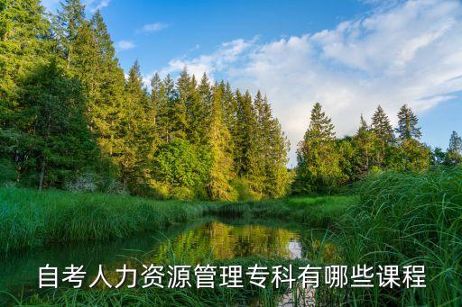 自考人力資源管理?？朴心男┱n程