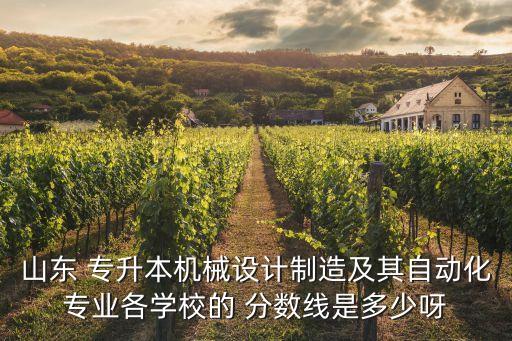 山東 專升本機械設計制造及其自動化專業(yè)各學校的 分數(shù)線是多少呀