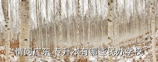 請(qǐng)問廣東 專升本有哪些民辦學(xué)校