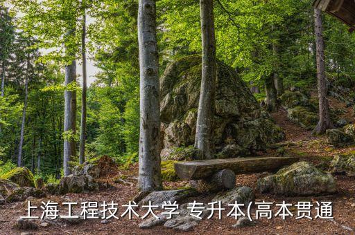 上海工程技術大學 專升本(高本貫通