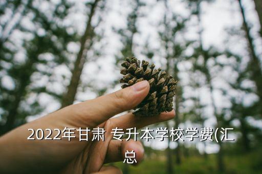 2022年甘肅 專升本學(xué)校學(xué)費(匯總
