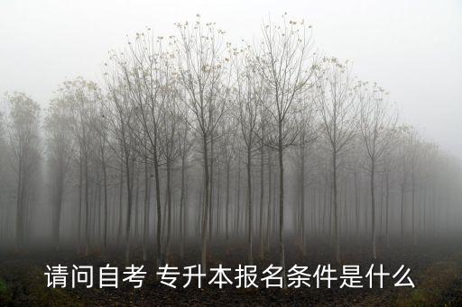 請問自考 專升本報名條件是什么