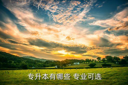  專(zhuān)升本有哪些 專(zhuān)業(yè)可選