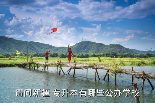 請(qǐng)問(wèn)新疆 專升本有哪些公辦學(xué)校