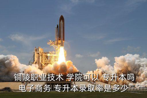 銅陵職業(yè)技術(shù) 學院可以 專升本嗎電子商務(wù) 專升本錄取率是多少