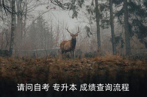 請問自考 專升本 成績查詢流程