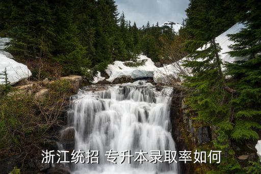  浙江統(tǒng)招 專升本錄取率如何
